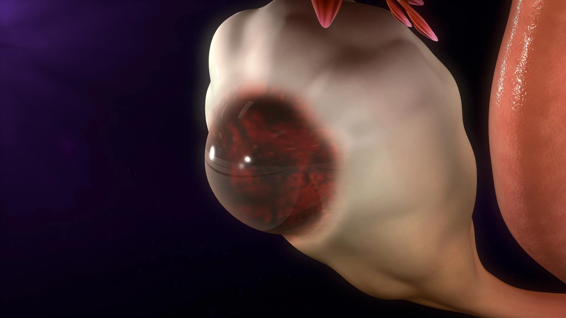 난소 낭종 자가 치유가 가능한가요? — 차차여성의원 내몸이야기 이미지 2