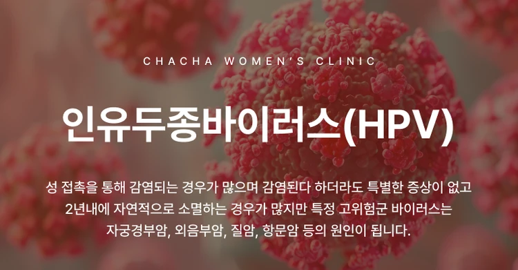 인유두종바이러스 (HPV)
